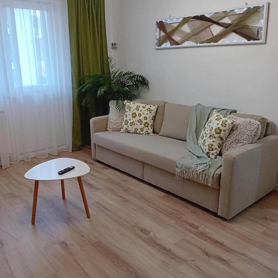 Harmonyhouse Appartement Braşov Buitenkant foto